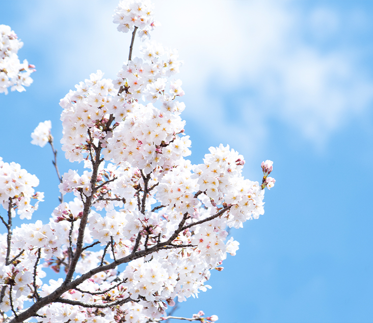 리프팅주의사항 이미지